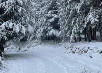 Allerta meteo in Sardegna, attesa tanta neve: verso il tutto esaurito nei paesi di montagna