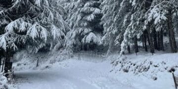 Allerta meteo in Sardegna, attesa tanta neve: verso il tutto esaurito nei paesi di montagna
