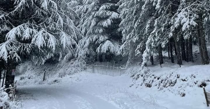Allerta meteo in Sardegna, attesa tanta neve: verso il tutto esaurito nei paesi di montagna