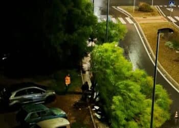 Cagliari, alberi caduti in pieno centro: l’ondata di maltempo crea pericoli e disagi