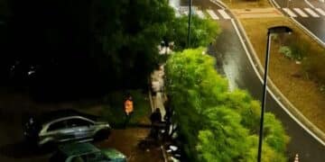 Cagliari, alberi caduti in pieno centro: l’ondata di maltempo crea pericoli e disagi