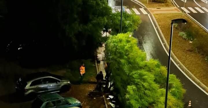 Cagliari, alberi caduti in pieno centro: l’ondata di maltempo crea pericoli e disagi