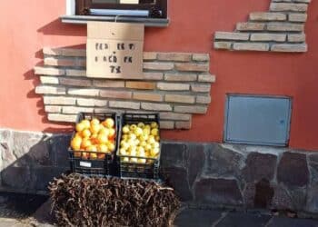 Samassi, la solidarietà a portata di mano: agrumi per tutti