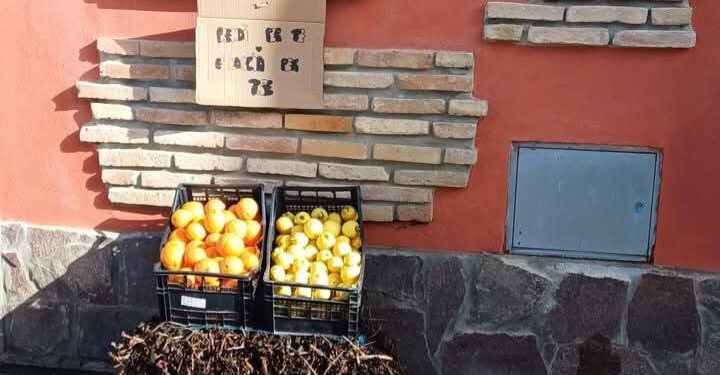 Samassi, la solidarietà a portata di mano: agrumi per tutti