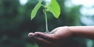 Sarroch: ok a “Incomunis”, progetto per la Comunità di Tutela delle Agro Biodiversità