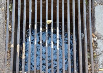 Quartu, tombini pieni d’acqua e blatte in via Pindemonte, il racconto di una residente: “La strada è sporchissima, invasi dalle blatte e dai topi”