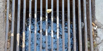 Quartu, tombini pieni d’acqua e blatte in via Pindemonte, il racconto di una residente: “La strada è sporchissima, invasi dalle blatte e dai topi”