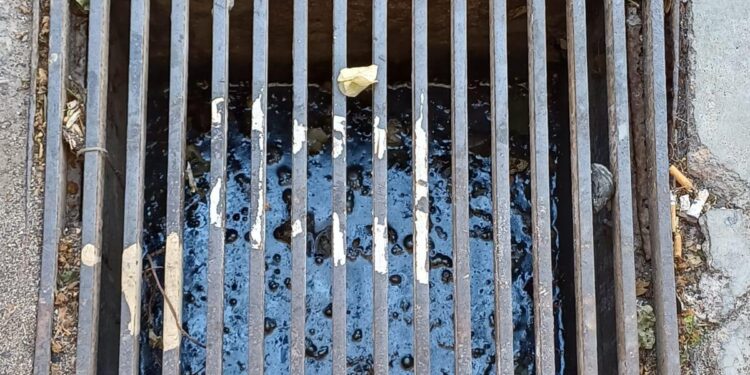 Quartu, tombini pieni d’acqua e blatte in via Pindemonte, il racconto di una residente: “La strada è sporchissima, invasi dalle blatte e dai topi”