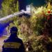 Cipresso pericolante sulla ex Ss 125 a Sinnai, intervengono i vigili del fuoco