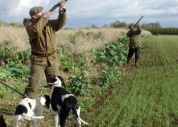 Lotta al bracconaggio, la maxi operazione del corpo forestale: scattano sette denunce nel Cagliaritano