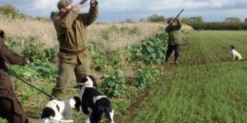 Lotta al bracconaggio, la maxi operazione del corpo forestale: scattano sette denunce nel Cagliaritano