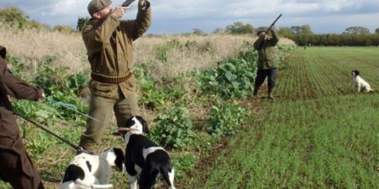 Lotta al bracconaggio, la maxi operazione del corpo forestale: scattano sette denunce nel Cagliaritano