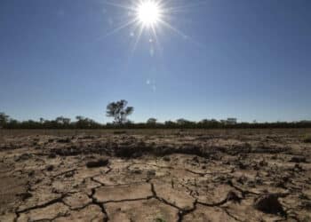 In Sardegna è allarme siccità: si tratta della seconda regione più colpita nel 2024