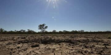 In Sardegna è allarme siccità: si tratta della seconda regione più colpita nel 2024