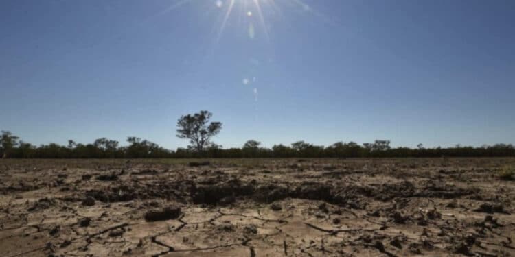 In Sardegna è allarme siccità: si tratta della seconda regione più colpita nel 2024