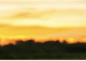 È mancata all’affetto dei suoi cari l‘amatissima Vincenza Peara