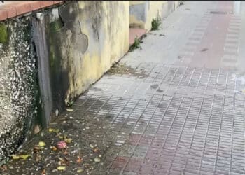 Cagliari,  scarico di acque nere in Via Cornalias, la rabbia dei residenti: “Nessuno interviene”