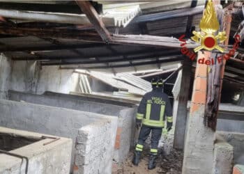 Lanusei, crollano le coperture in un allevamento a causa del maltempo: morti tantissimi animali