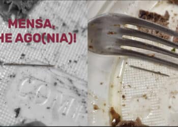 Cagliari, “un ago all’interno di un piatto di carne servito in mensa”: pericolo scampato per un giovane universitario