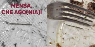 Cagliari, “un ago all’interno di un piatto di carne servito in mensa”: pericolo scampato per un giovane universitario