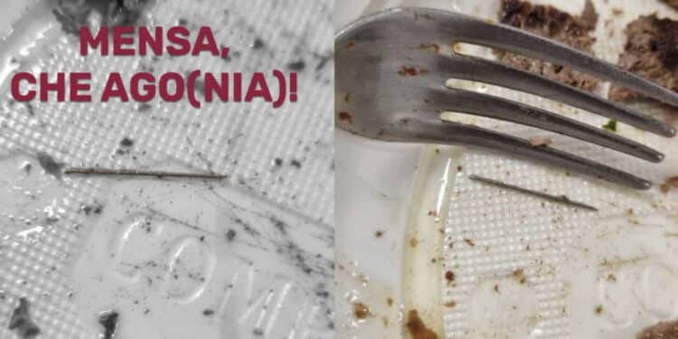 Cagliari, “un ago all’interno di un piatto di carne servito in mensa”: pericolo scampato per un giovane universitario