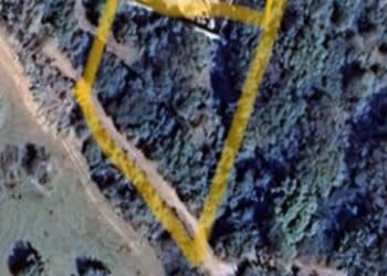 Sarroch, 18 querce abbattute in un terreno privato: sanzionati i proprietari