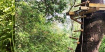 Pula, un mega parco avventura in località “La Pineta”