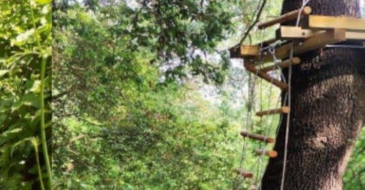 Pula, un mega parco avventura in località “La Pineta”