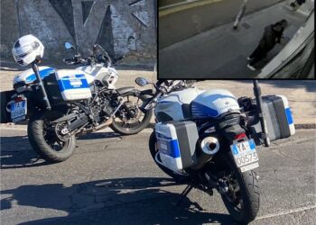 Scippata in via Cadello a Cagliari: arrestato il complice della 31enne senzatetto