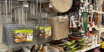 Strage di negozi a Cagliari: chiudono anche gli storici Benetton e Bricocenter al centro commerciale di Santa Gilla