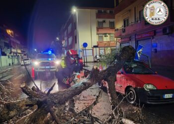 Terrore a Quartu, in via Manara un albero crolla di schianto sopra una macchina