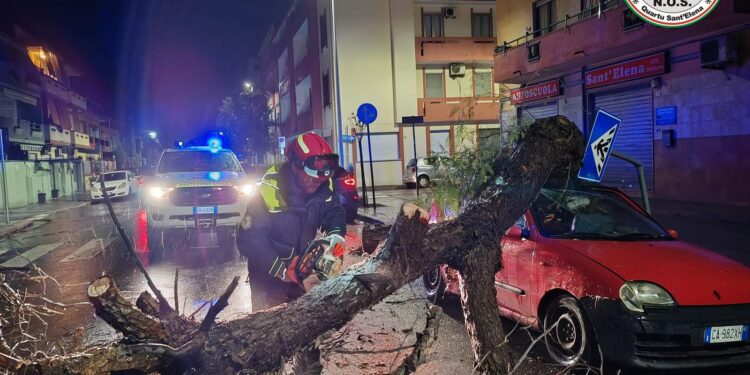 Terrore a Quartu, in via Manara un albero crolla di schianto sopra una macchina