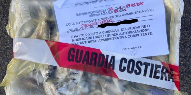 Cagliari, la Guardia Costiera scopre un venditore di pesce abusivo: maxi controlli anche a Quartu