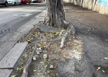 Viale Merello, la fama di una delle strade più celebri di Cagliari ora è solo un ricordo: slalom nella via distrutta (VIDEO)