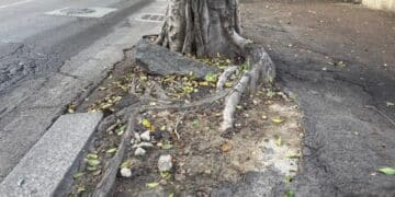 Viale Merello, la fama di una delle strade più celebri di Cagliari ora è solo un ricordo: slalom nella via distrutta (VIDEO)