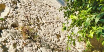 Tra viale Regina Margherita e via XX Settembre si cela un angolo di storia cittadina a molti sconosciuto: ecco il Rivellino de Jesus