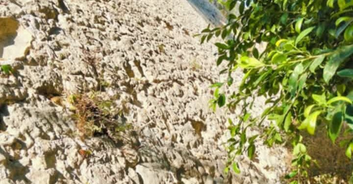 Tra viale Regina Margherita e via XX Settembre si cela un angolo di storia cittadina a molti sconosciuto: ecco il Rivellino de Jesus