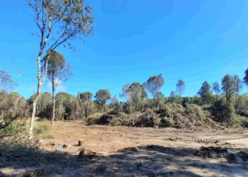 Sinnai, tagli boschivi sul massiccio dei Sette Fratelli: “Sono autorizzati?”