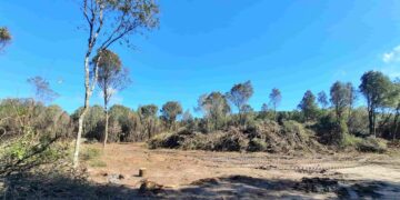 Sinnai, tagli boschivi sul massiccio dei Sette Fratelli: “Sono autorizzati?”