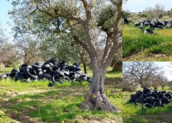 Altre tre discariche di pneumatici usati, è allarme nelle campagne di Selargius