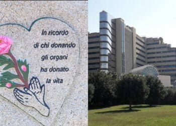 Sardegna, cresce il numero dei donatori ma non quello dei trapiantati