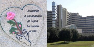 Sardegna, cresce il numero dei donatori ma non quello dei trapiantati