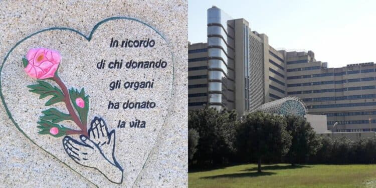 Sardegna, cresce il numero dei donatori ma non quello dei trapiantati
