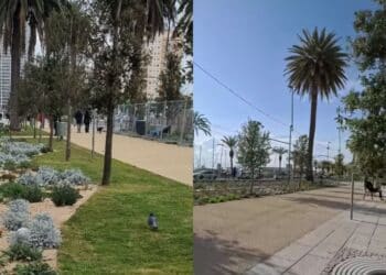 La nuova via Roma al centro dell’attenzione: commenti, giudizi e osservazioni