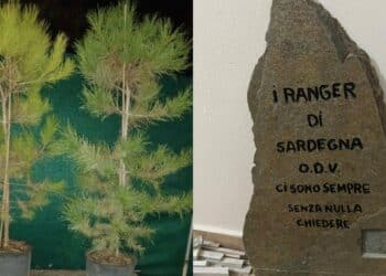 Monserrato, arriva l’albero del volontariato