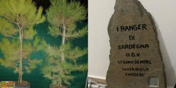 Monserrato, arriva l’albero del volontariato