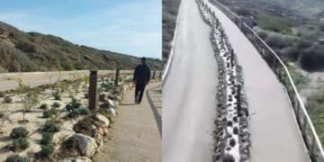 Tharros, 1400 nuove piantine di trenta essenze mediterranee diverse nell’aiuola centrale