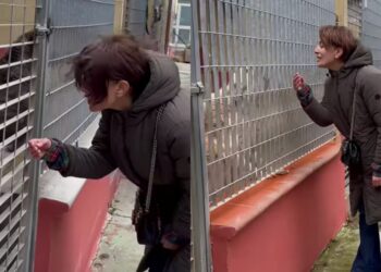 Cagliari, al canile comunale una visita speciale: Caterina Murino tra i randagi