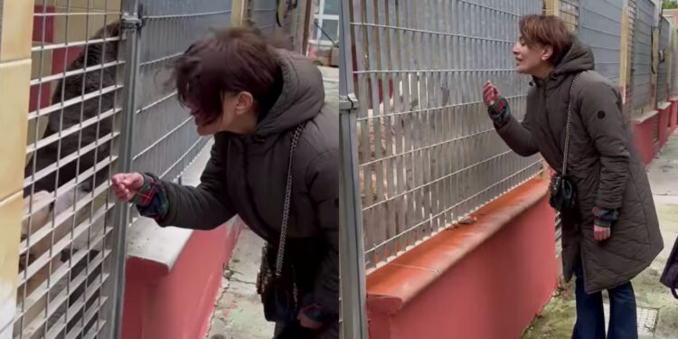 Cagliari, al canile comunale una visita speciale: Caterina Murino tra i randagi