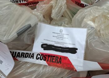 Cagliari, 130 chili di pesce dalla provenienza misteriosa: maximulta a ristorante orientale